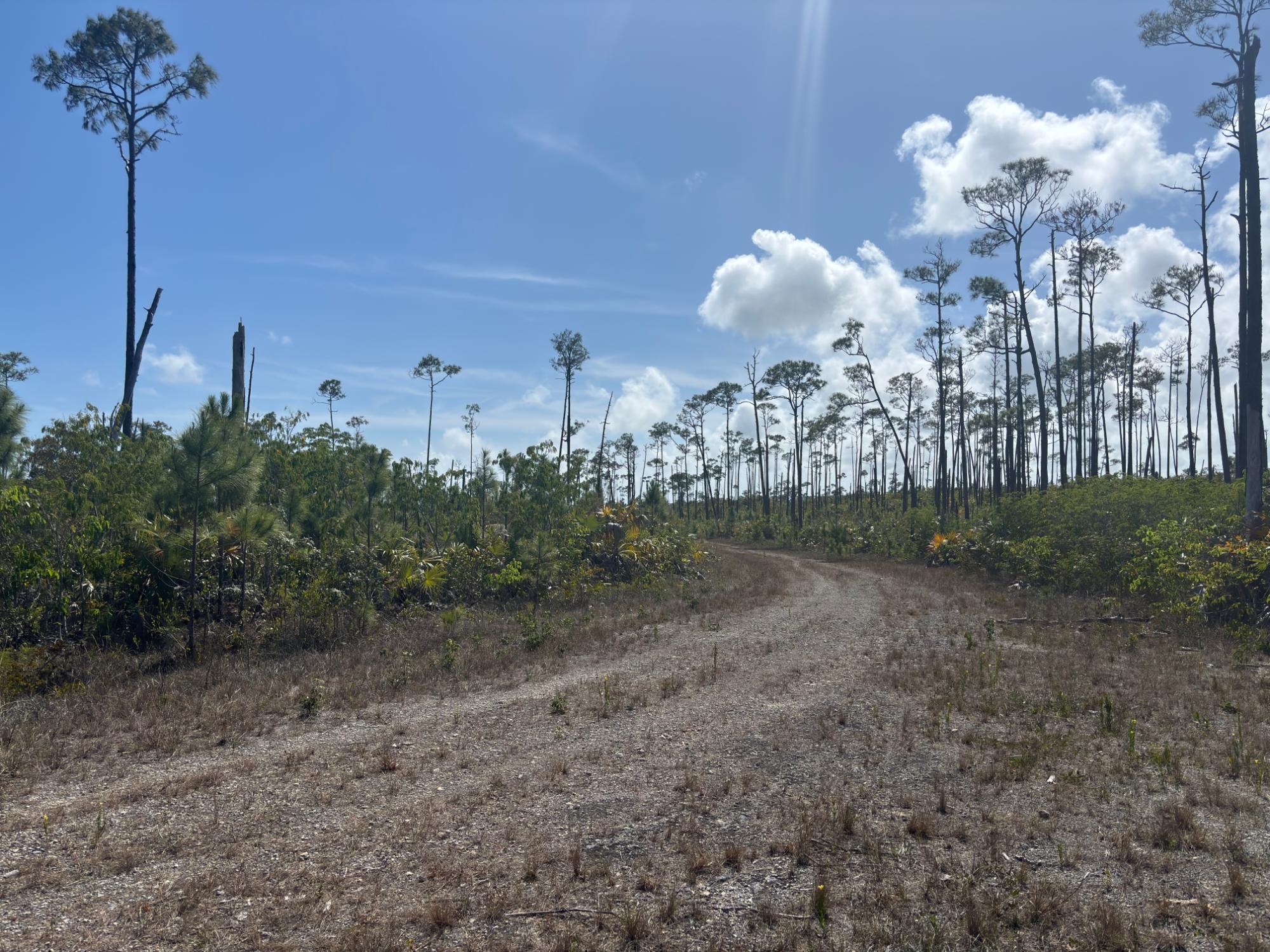 RANGER RD