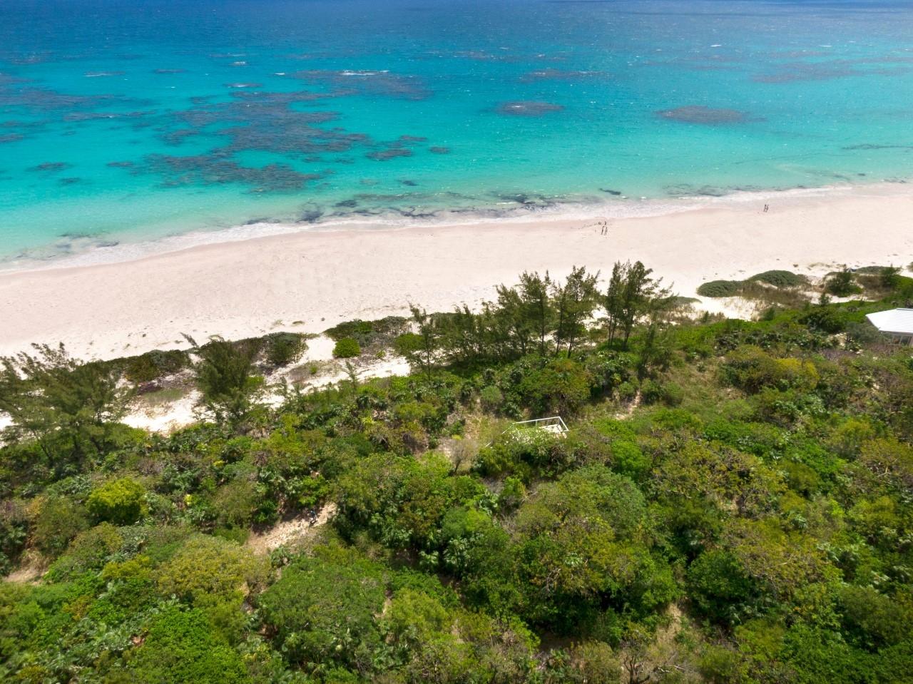 Beach Front Acreage