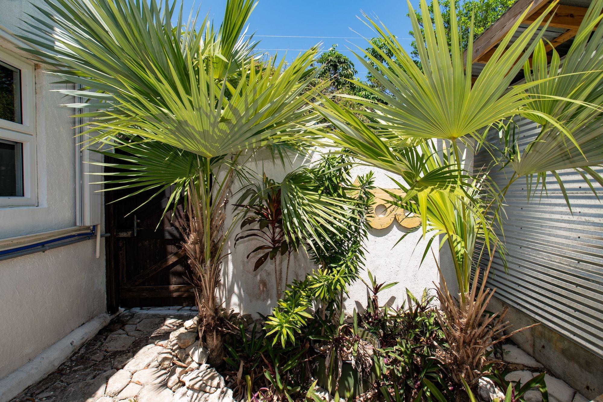 Tattoo Garden Casita