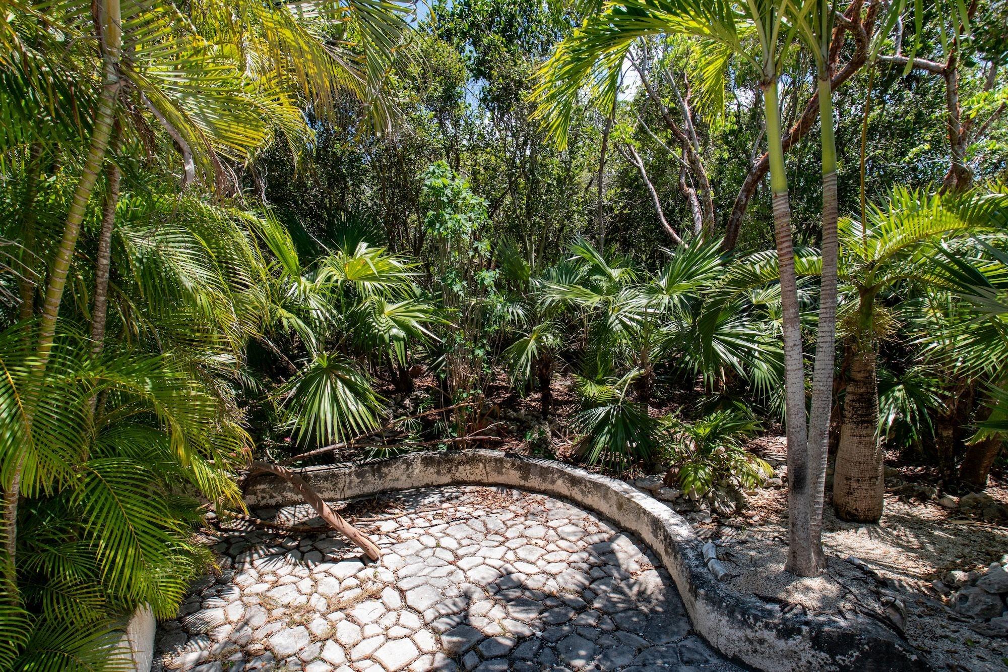 Tattoo Garden Casita