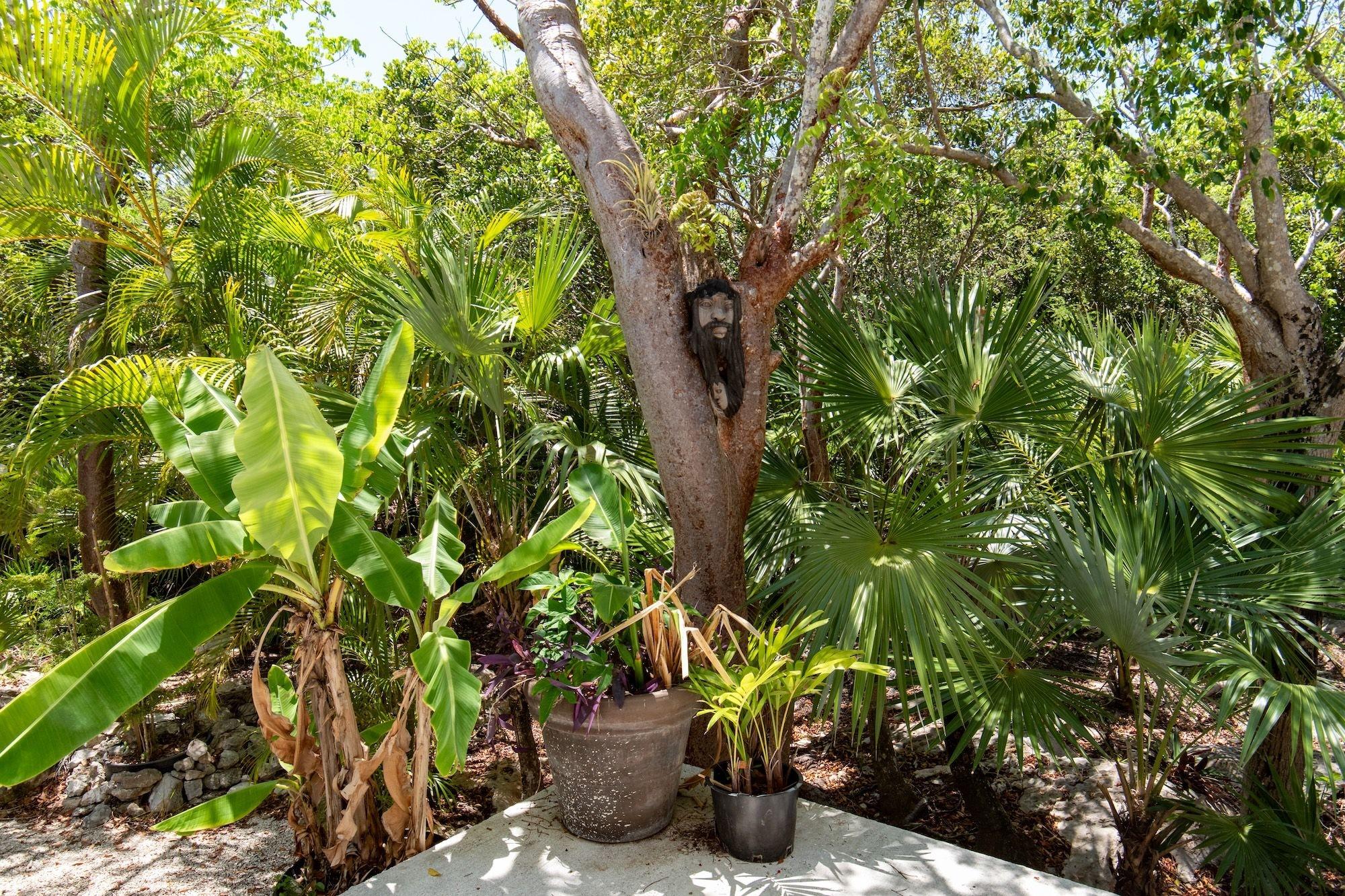 Tattoo Garden Casita
