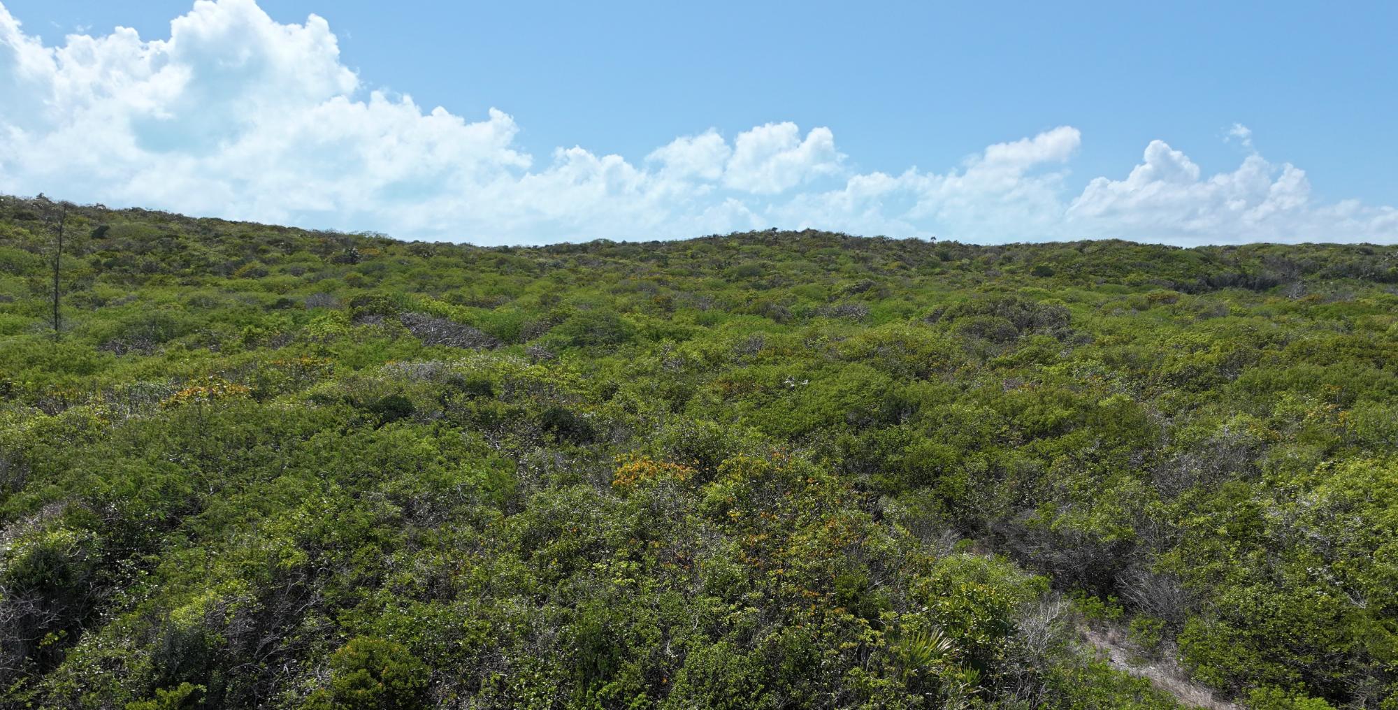 29.5 ACRES SUNRIDGE ESTAT