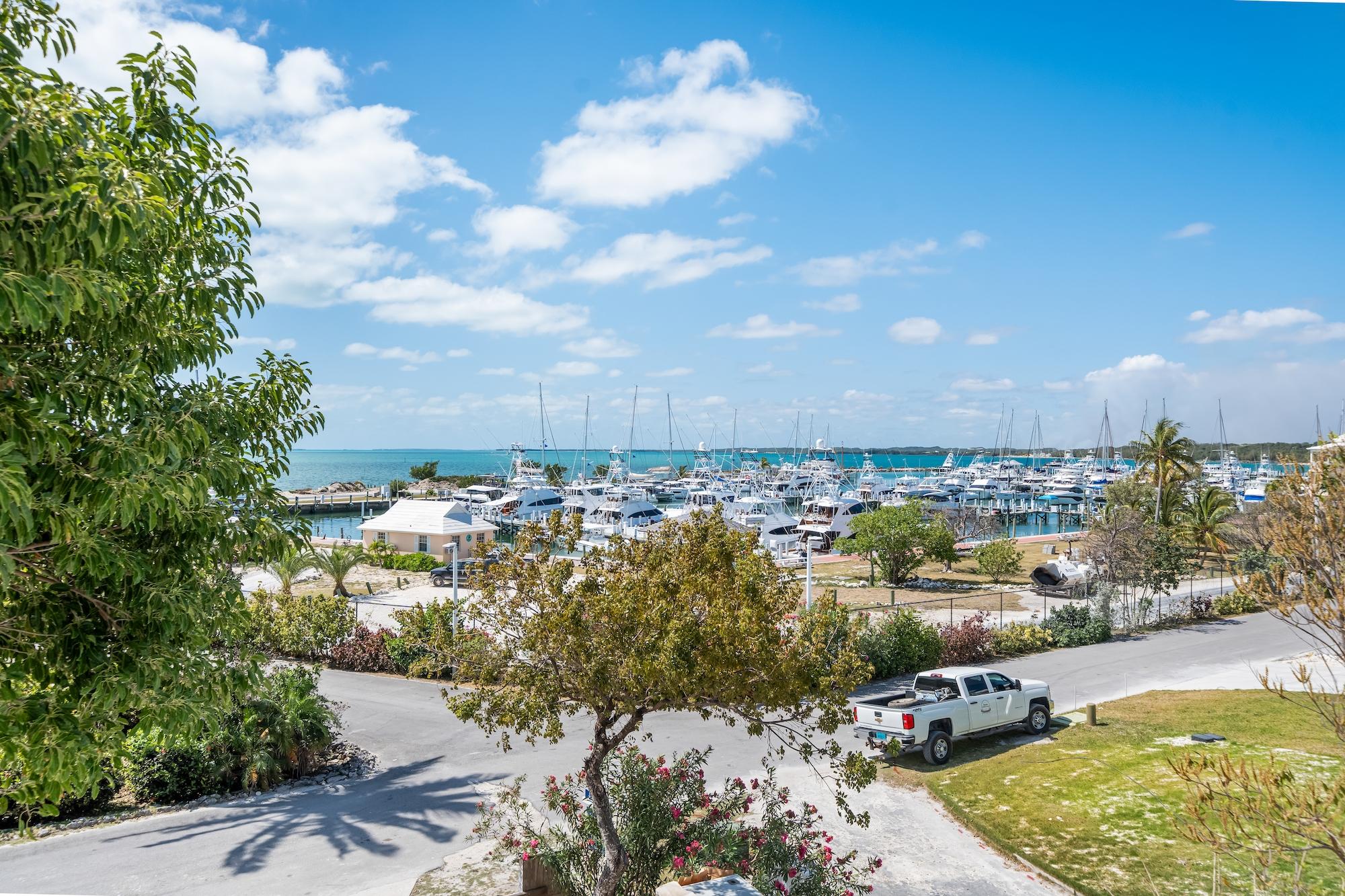 HARBOUR DAZE