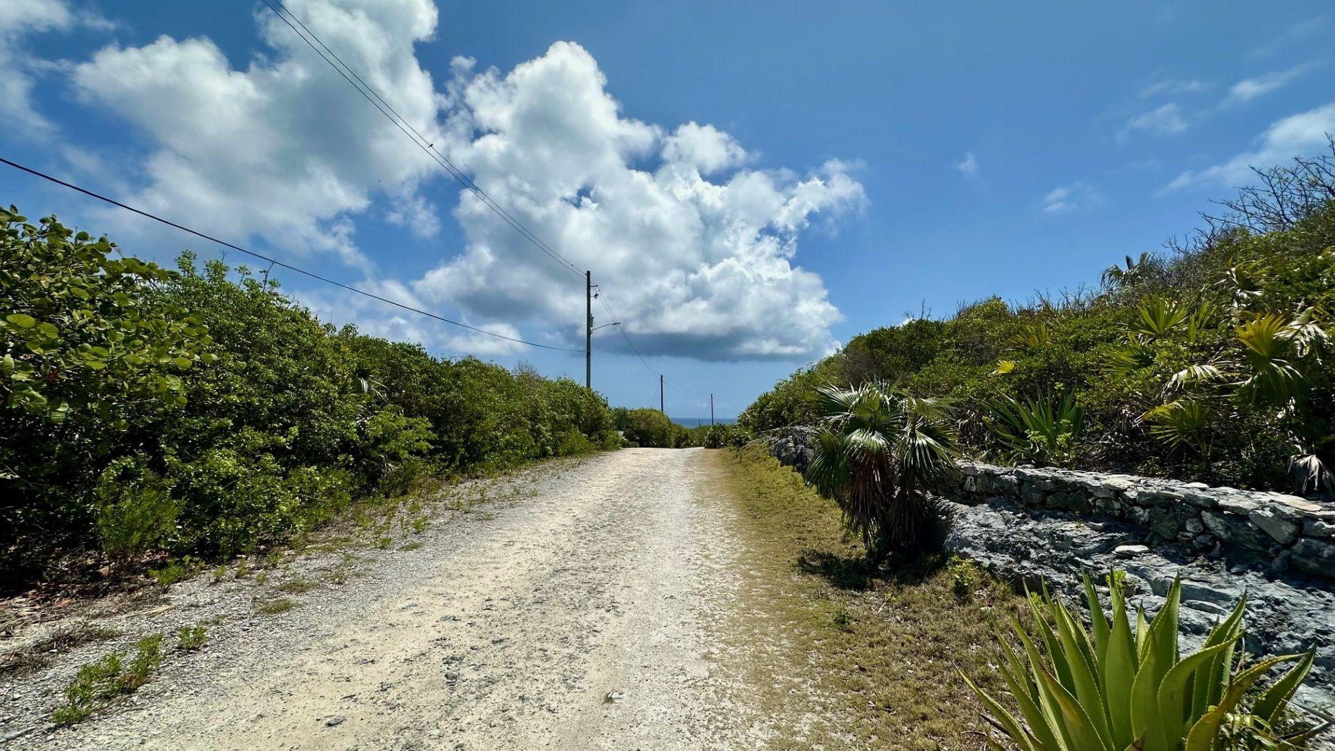HONEY CREEPER ROAD