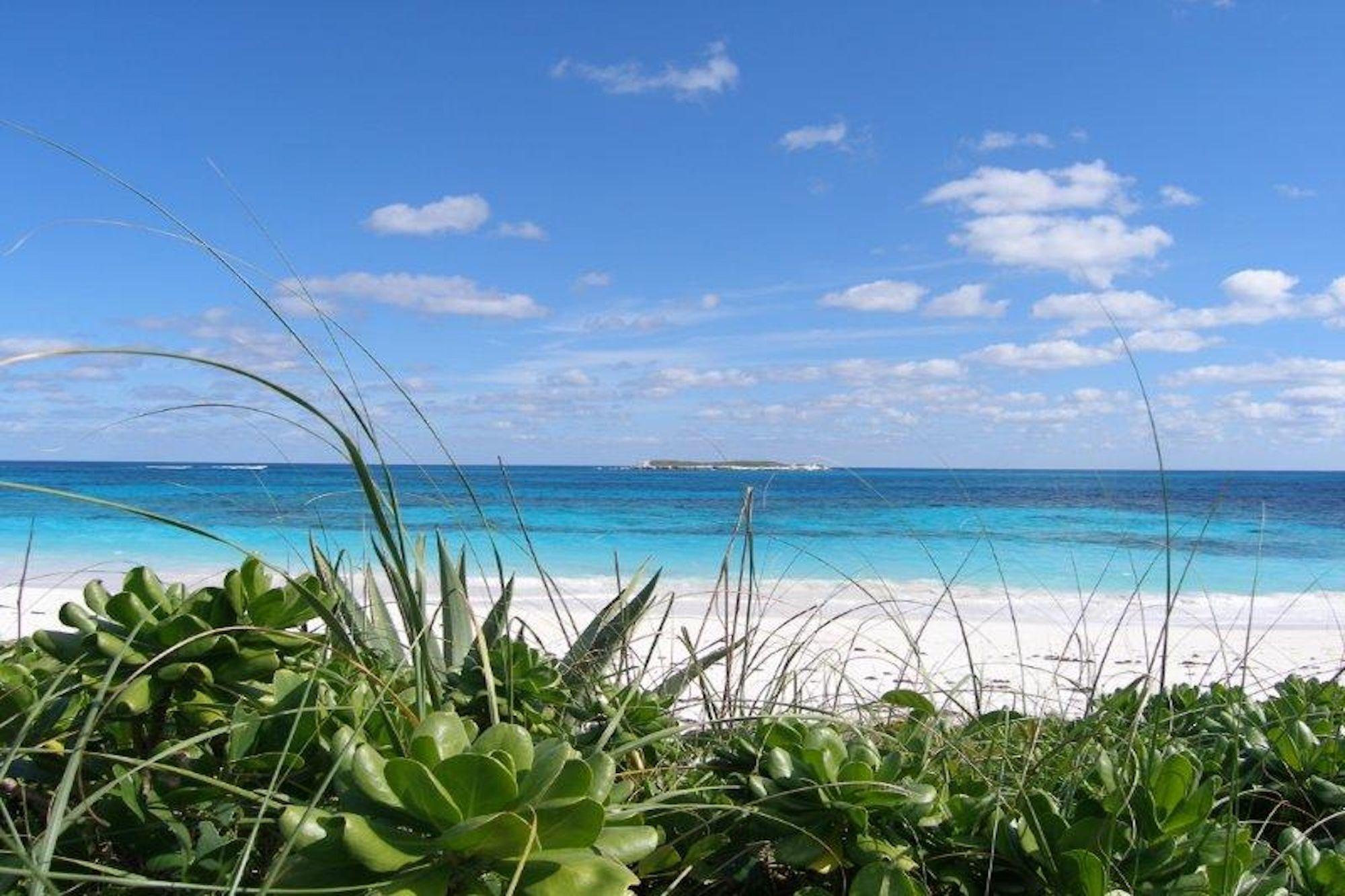 PLAGE ROSE ESTATE
