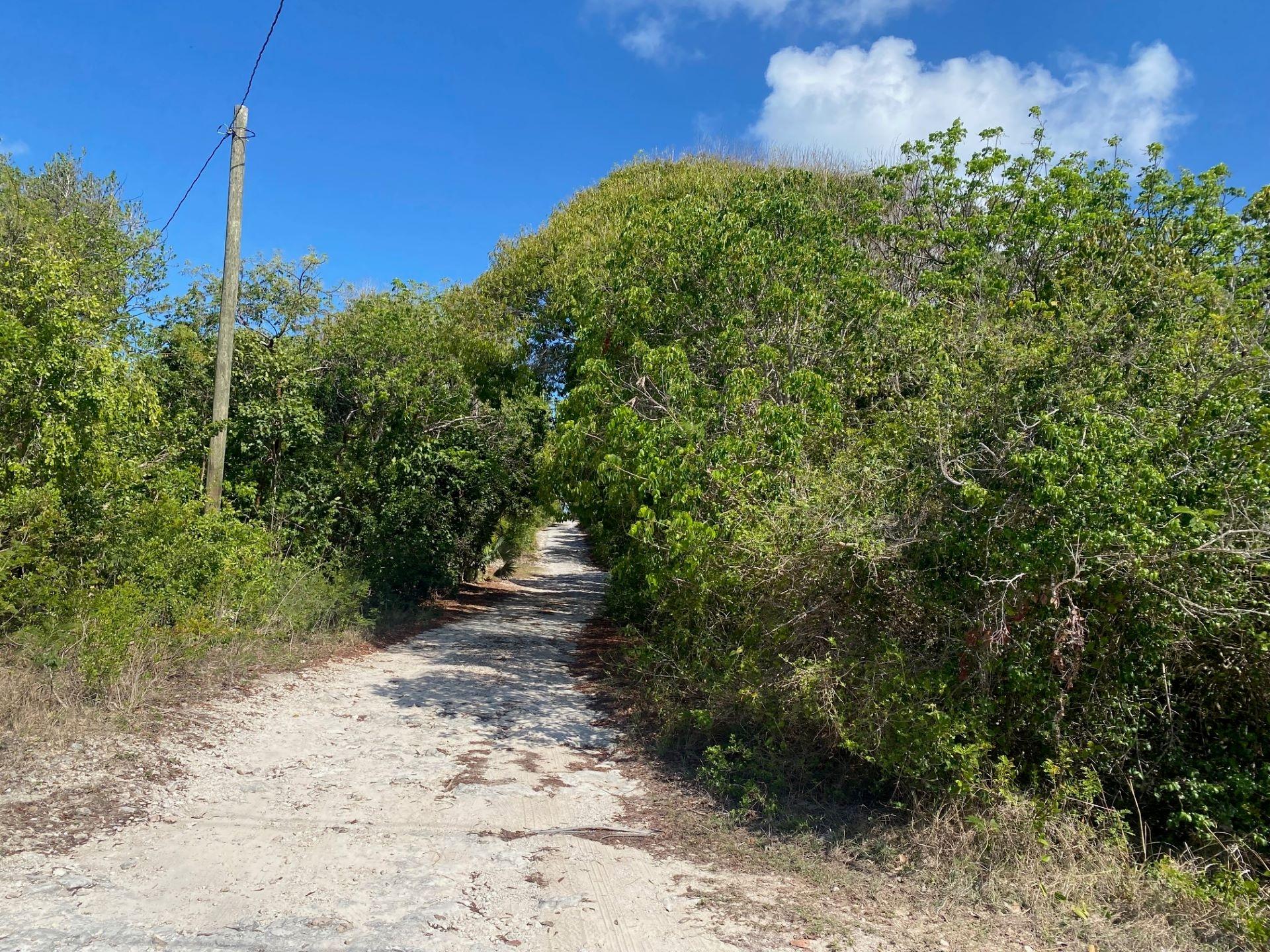 OCEAN BOULEVARD LOTS