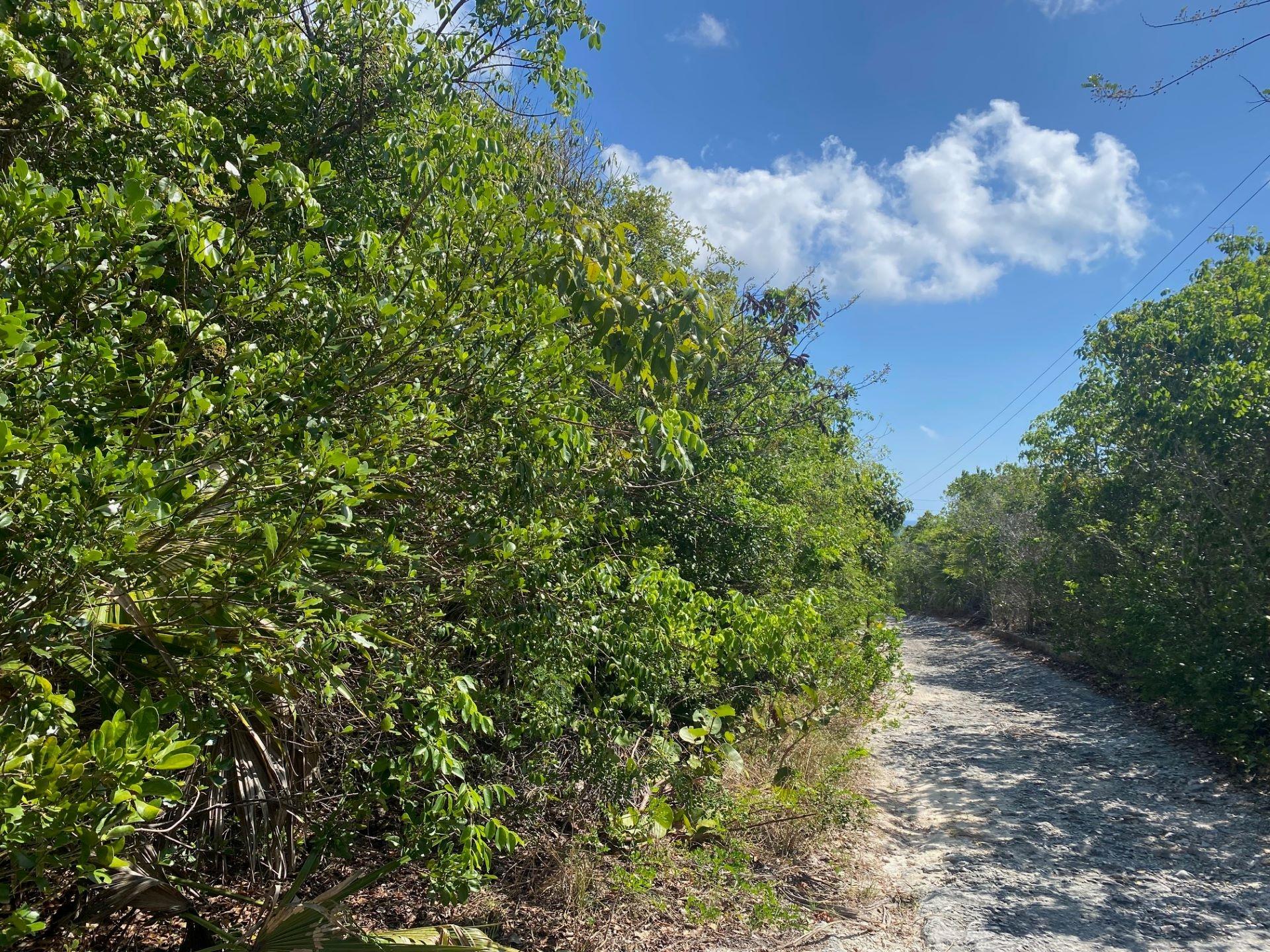 OCEAN BOULEVARD LOTS