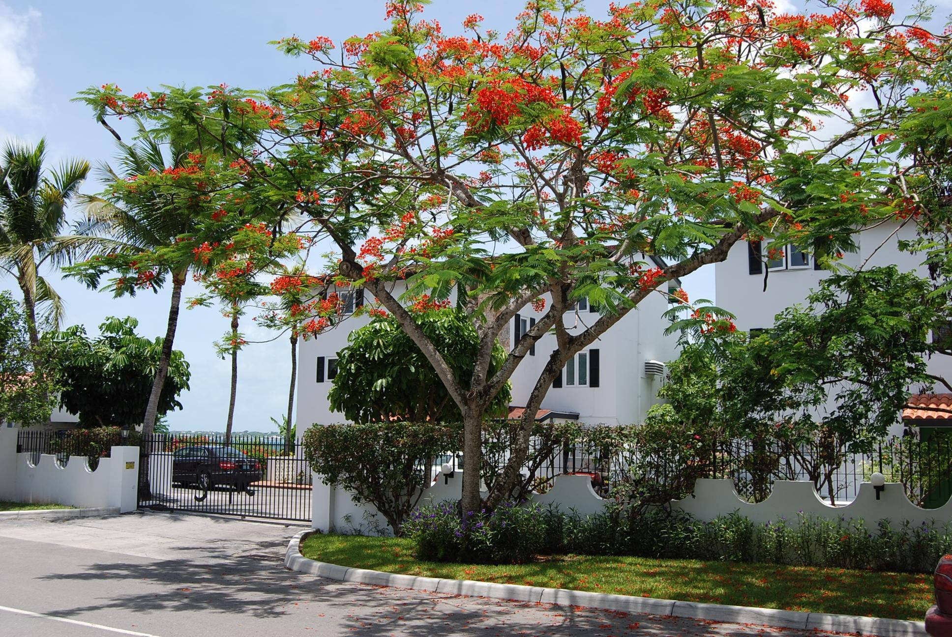 Waterfront Condo