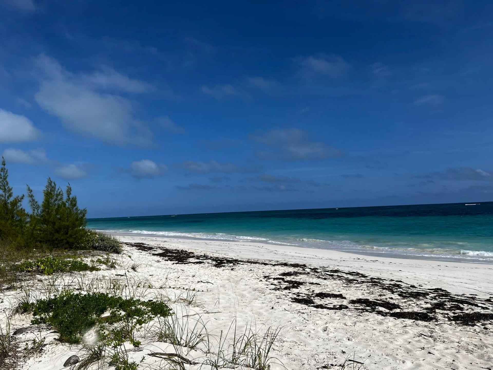 LOT 25 BAHAMA PALM SHORES