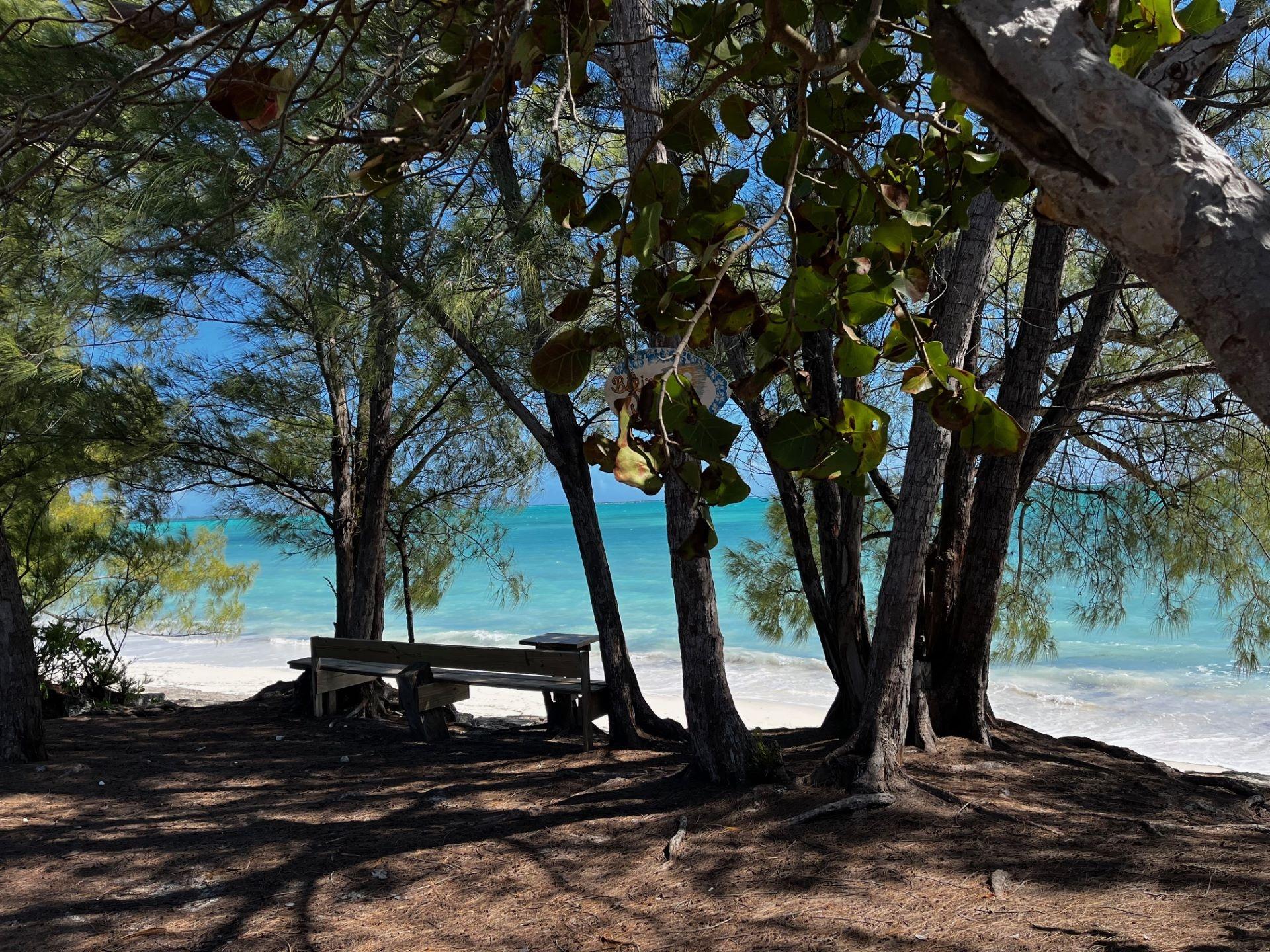 LOT 25 BAHAMA PALM SHORES