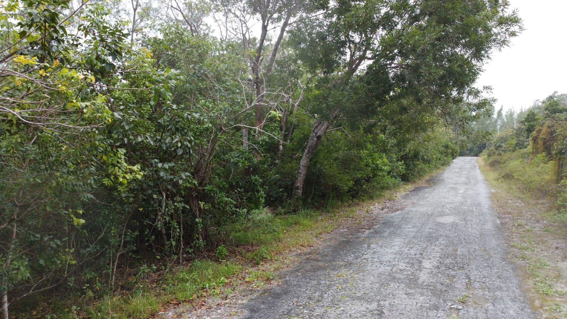 LOT 25 BAHAMA PALM SHORES