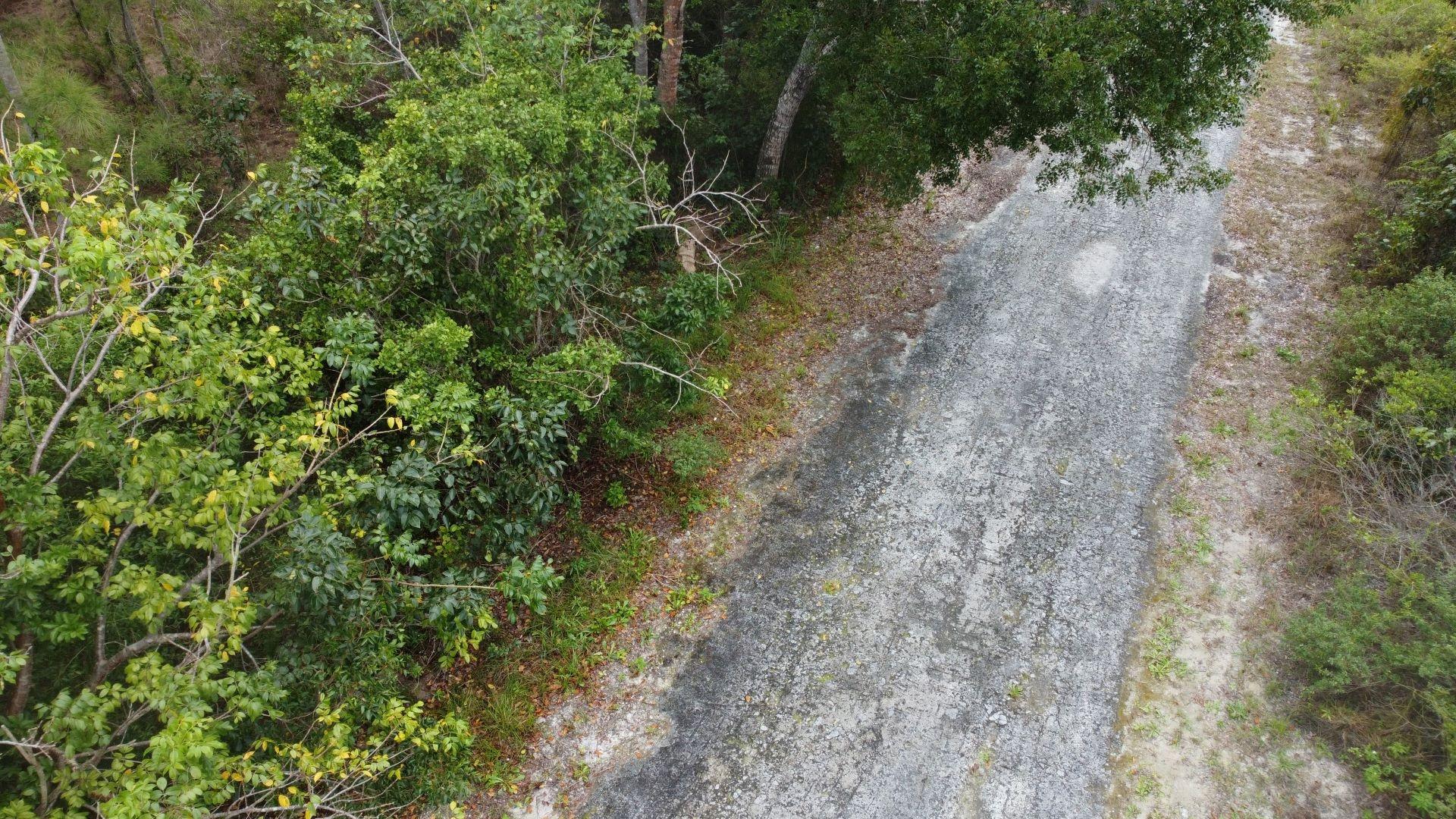 LOT 25 BAHAMA PALM SHORES