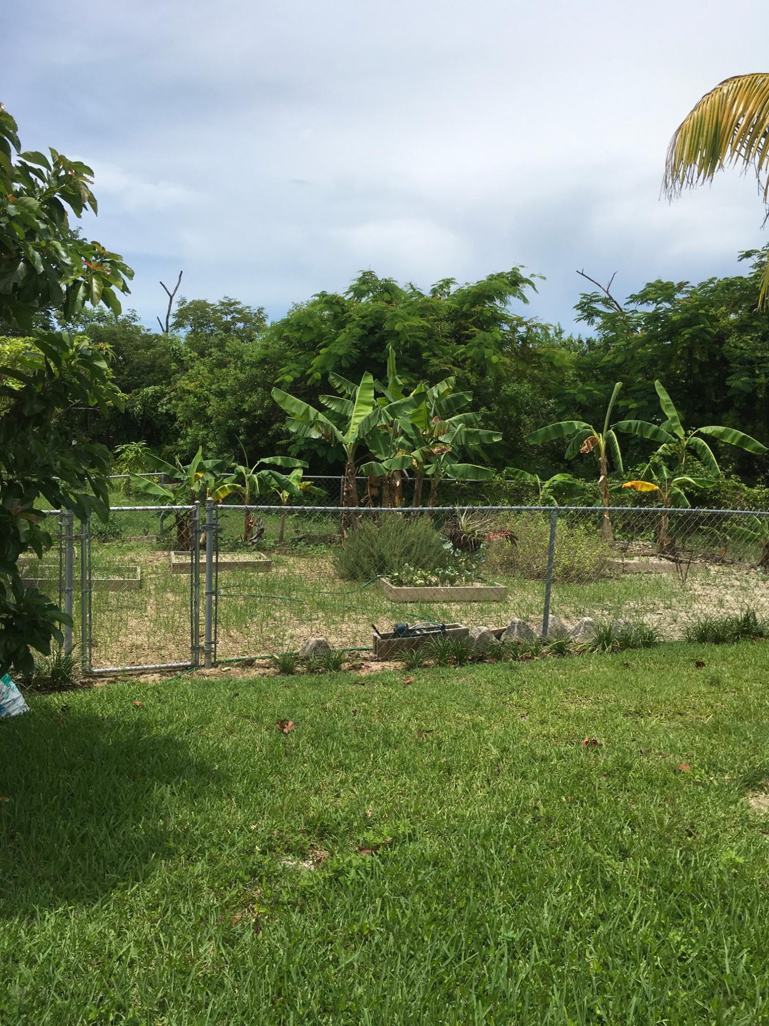 SOUTH BAHAMIA
