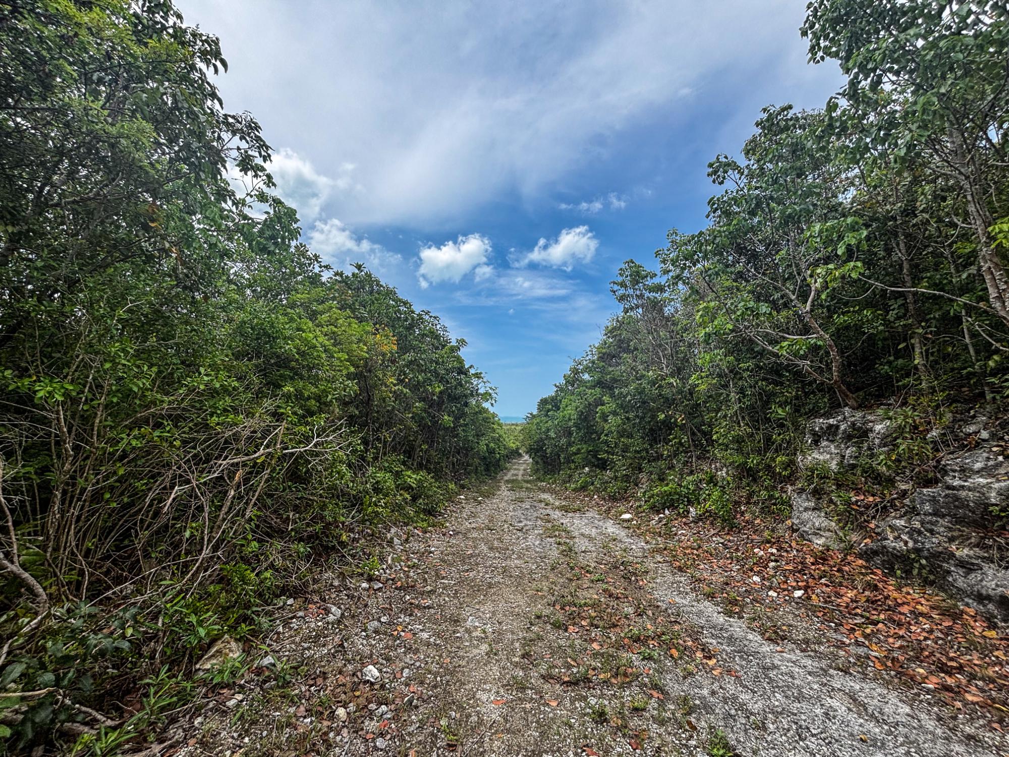 Red Bay Acreage