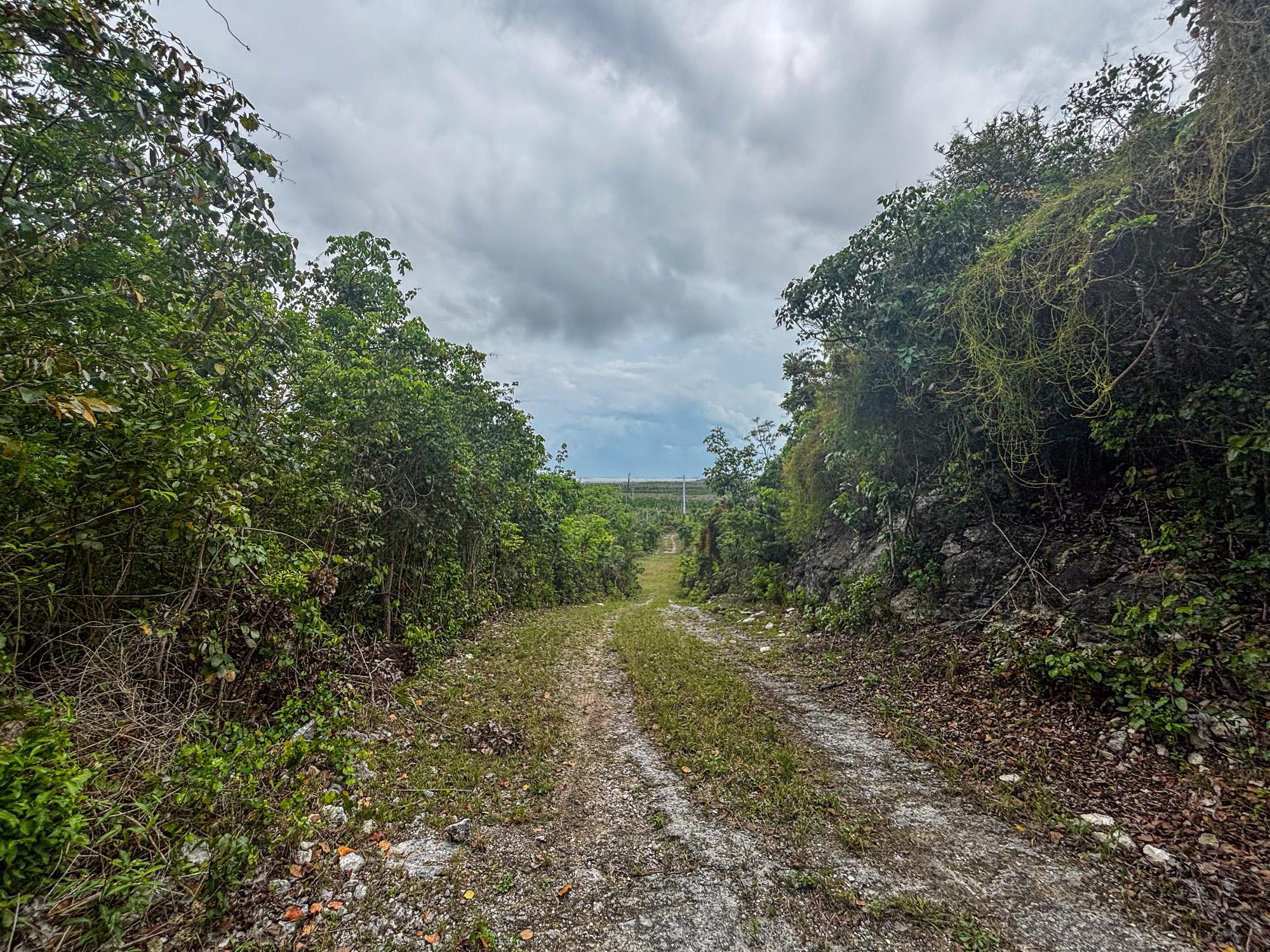 Red Bay Acreage