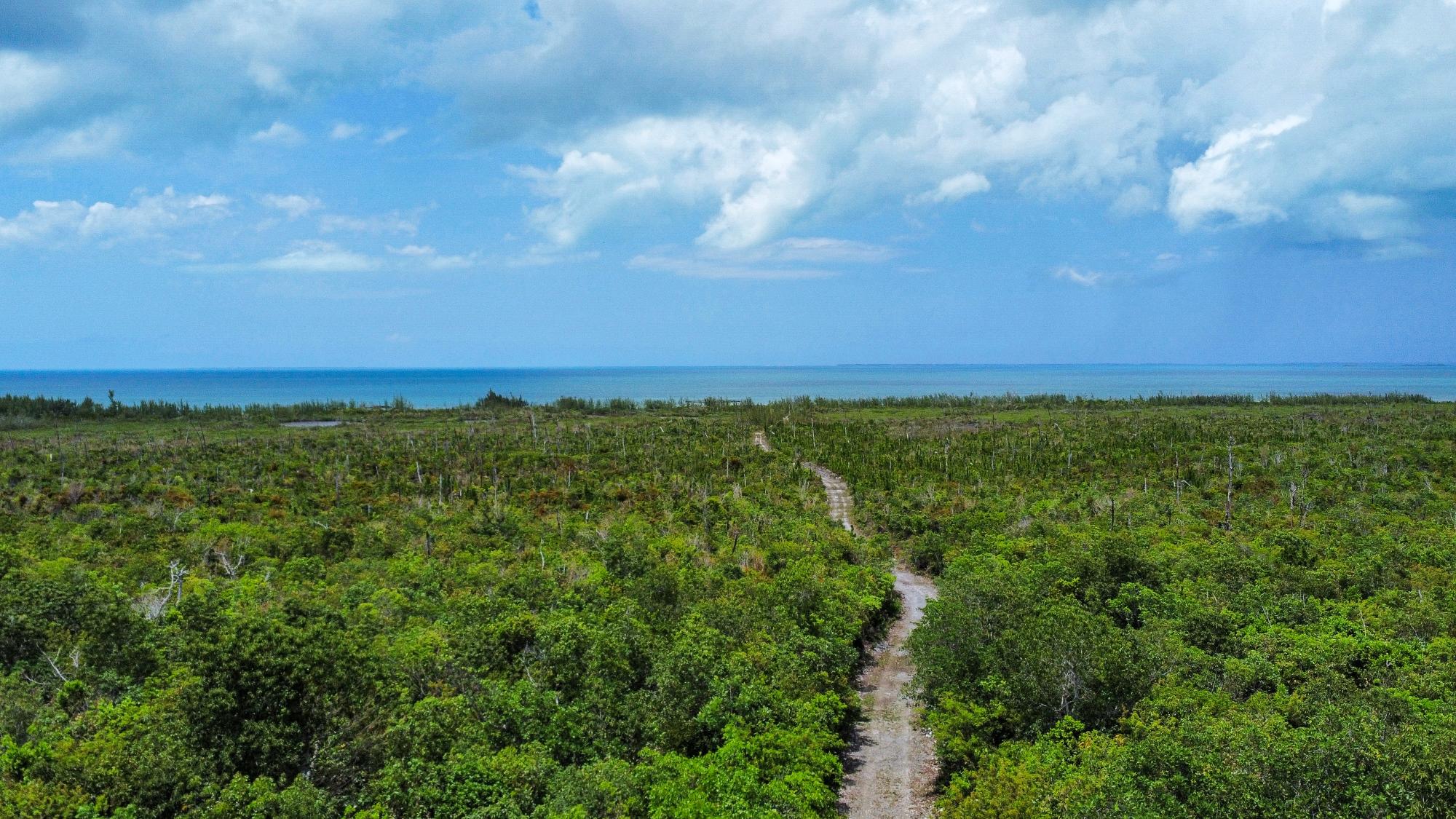 Red Bay Acreage