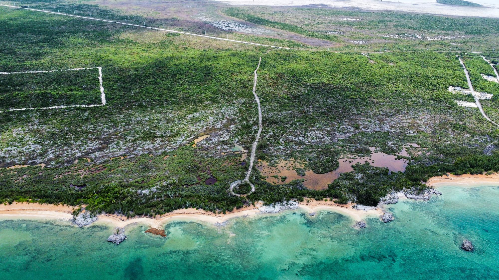 Red Bay Acreage