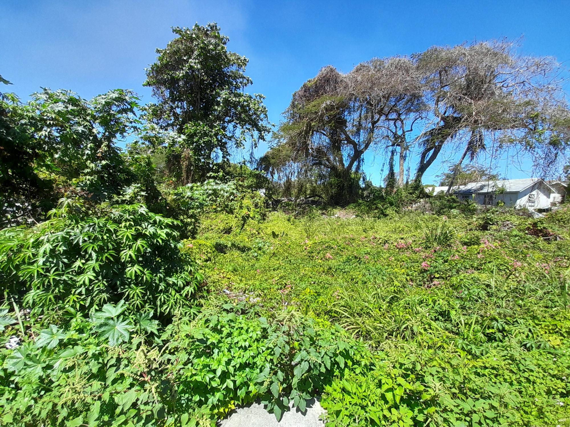 BALDWIN AVENUE