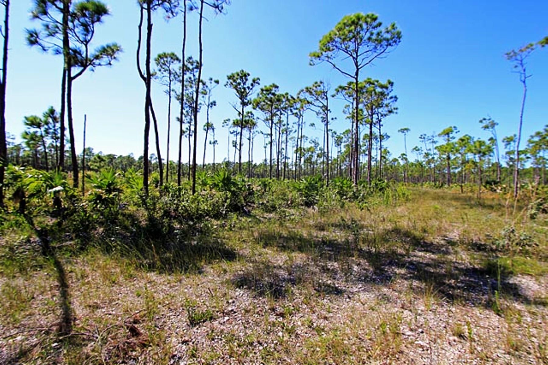 LUCAYA ESTATES