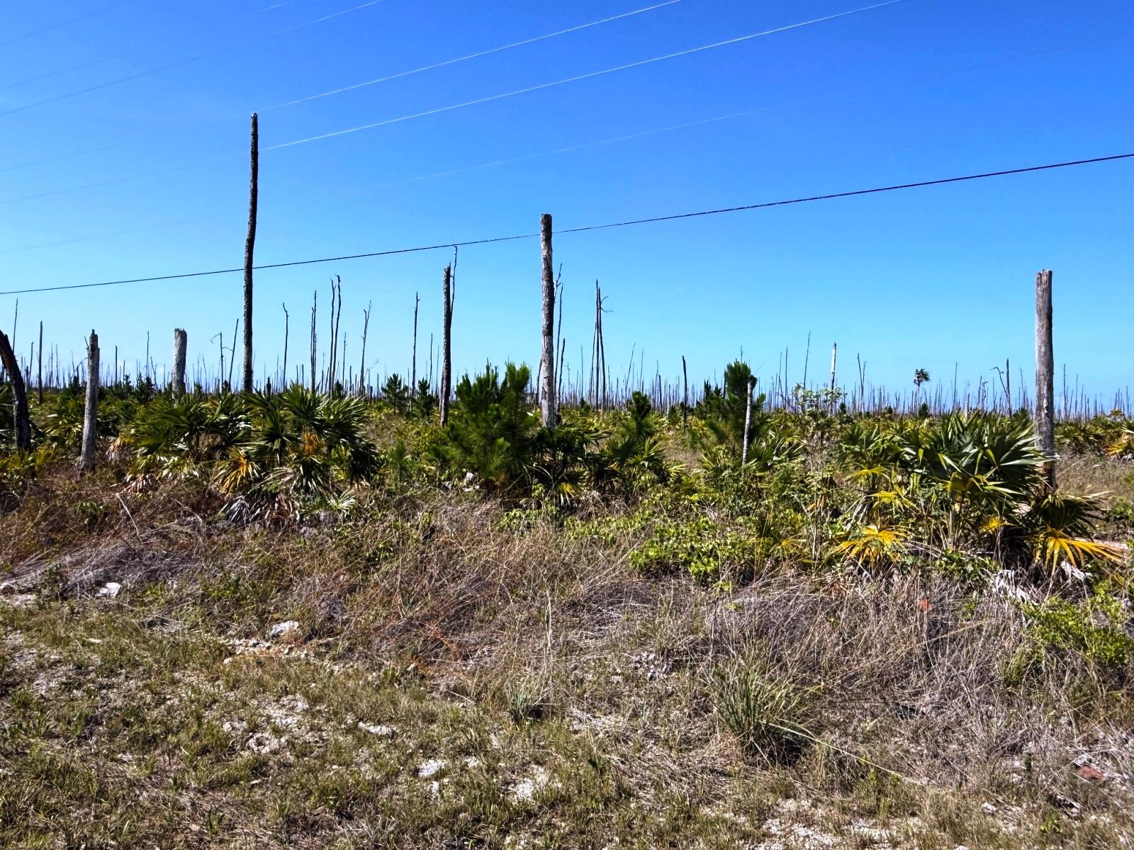 LUCAYA ESTATES