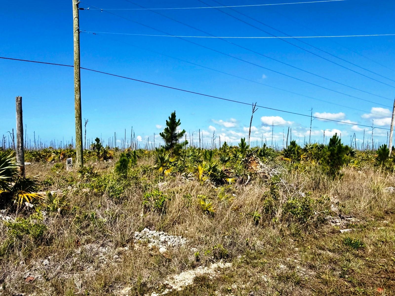 LUCAYA ESTATES