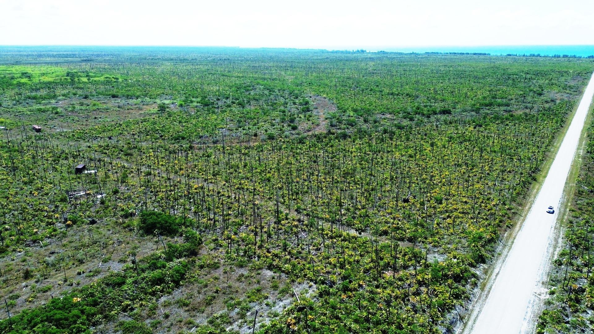 LUCAYA ESTATES