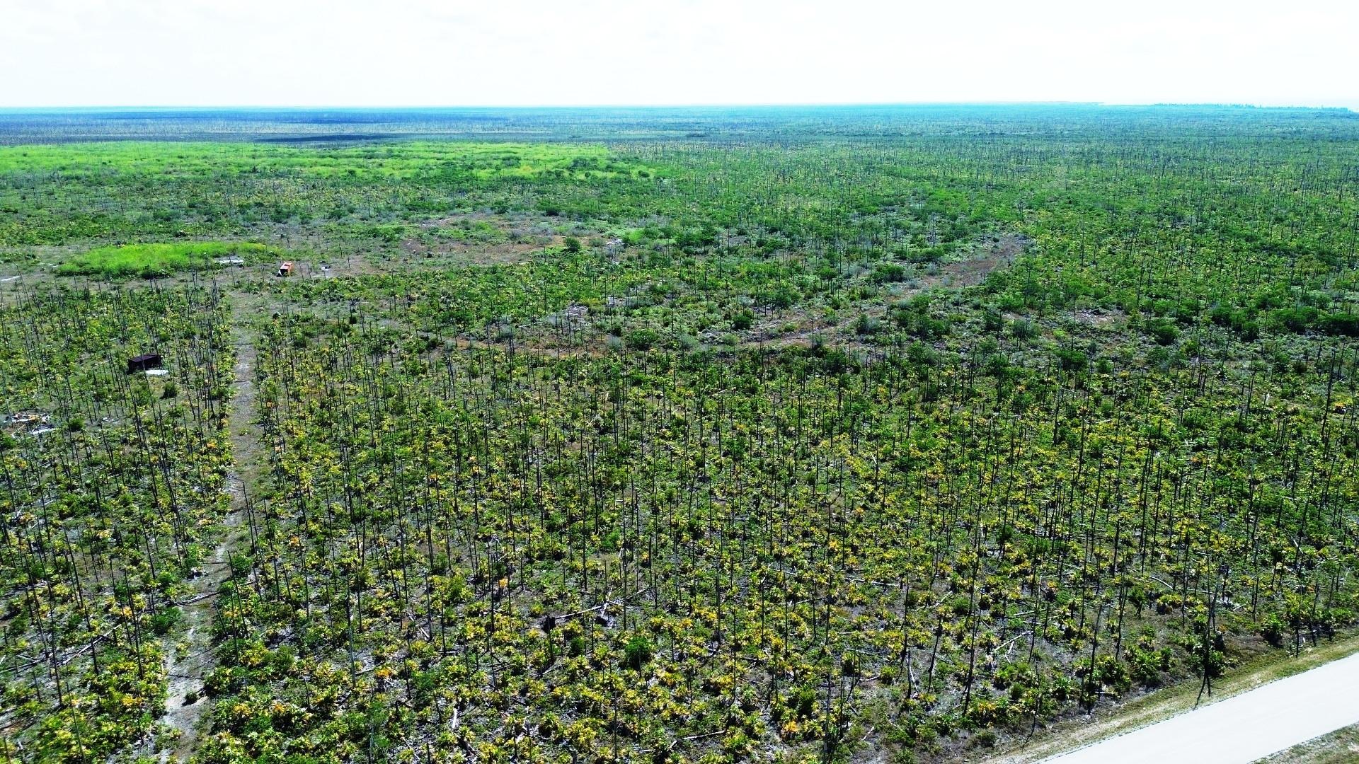 LUCAYA ESTATES