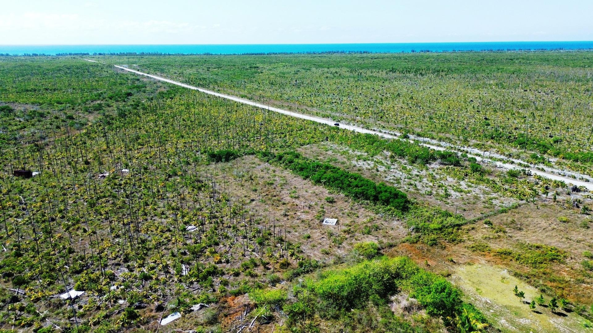 LUCAYA ESTATES
