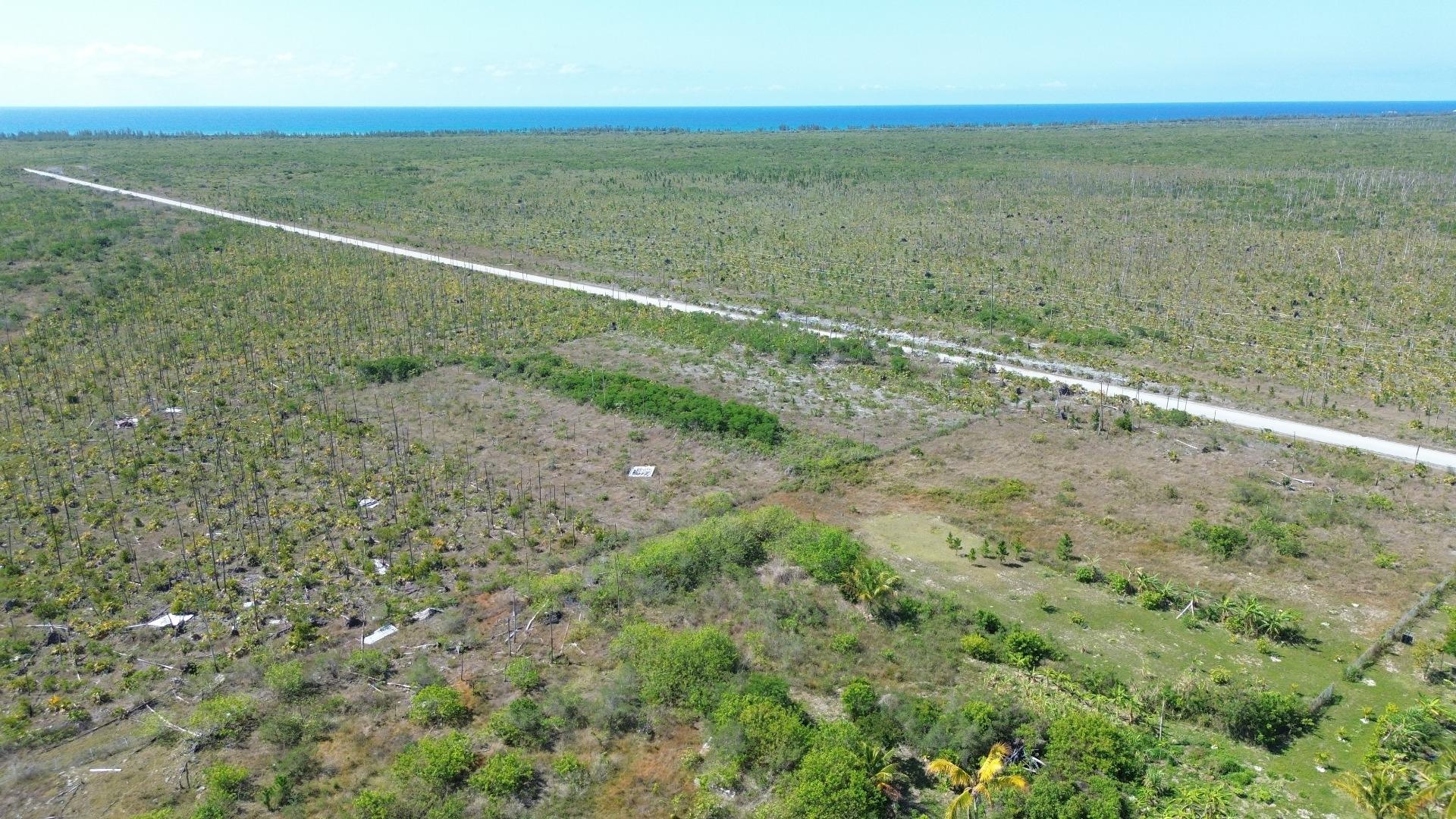 LUCAYA ESTATES