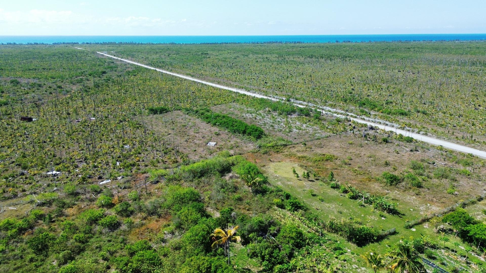 LUCAYA ESTATES
