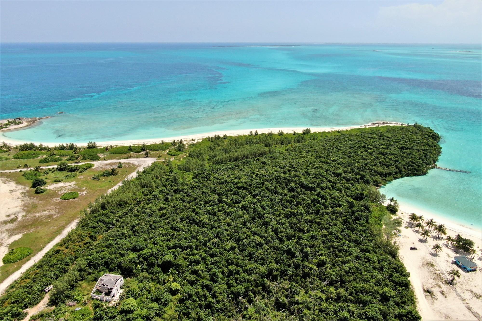 15.2 ACRES CARLETON POINT