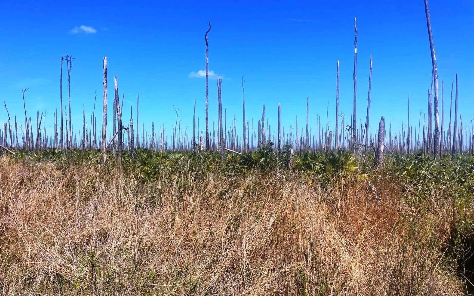 LOT 17 LUCAYA ESTATES