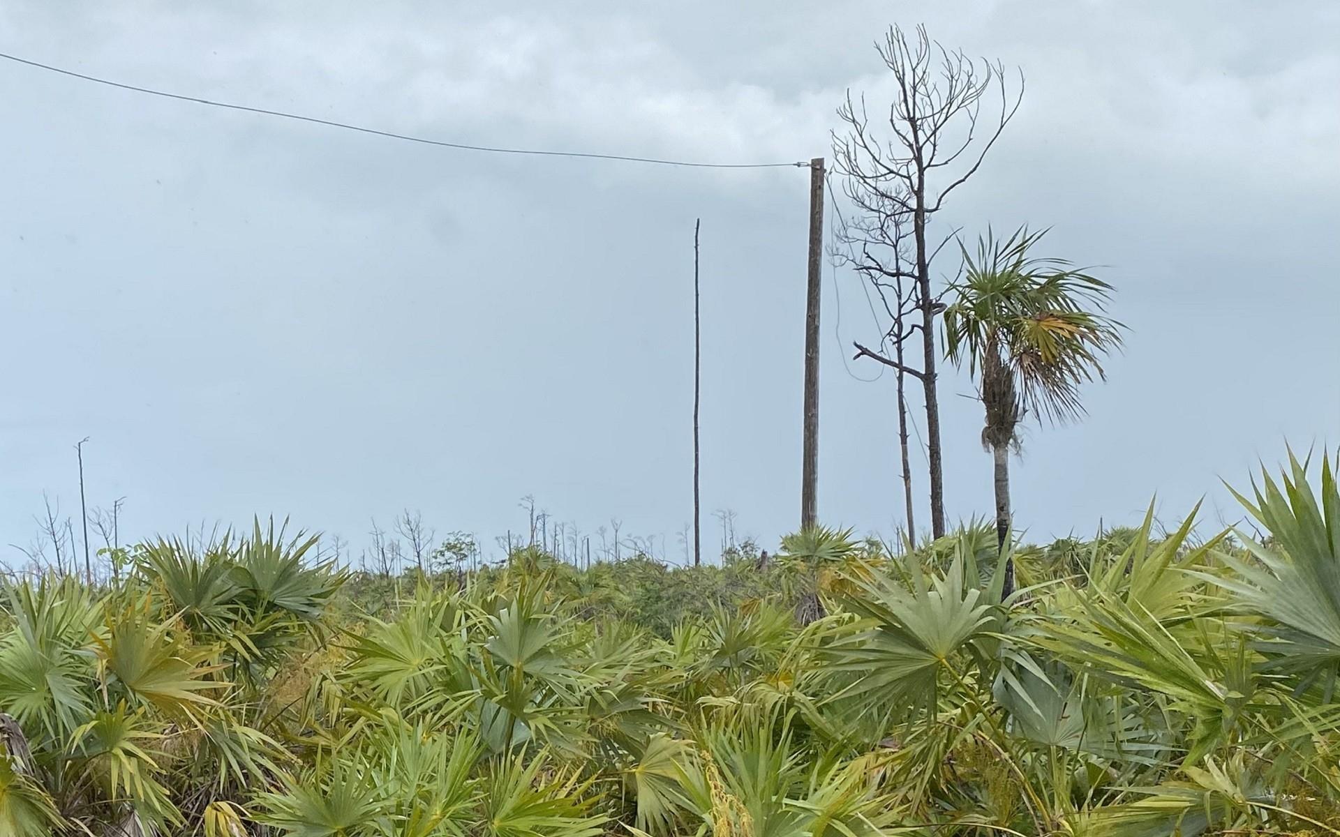 LOT 17 LUCAYA ESTATES