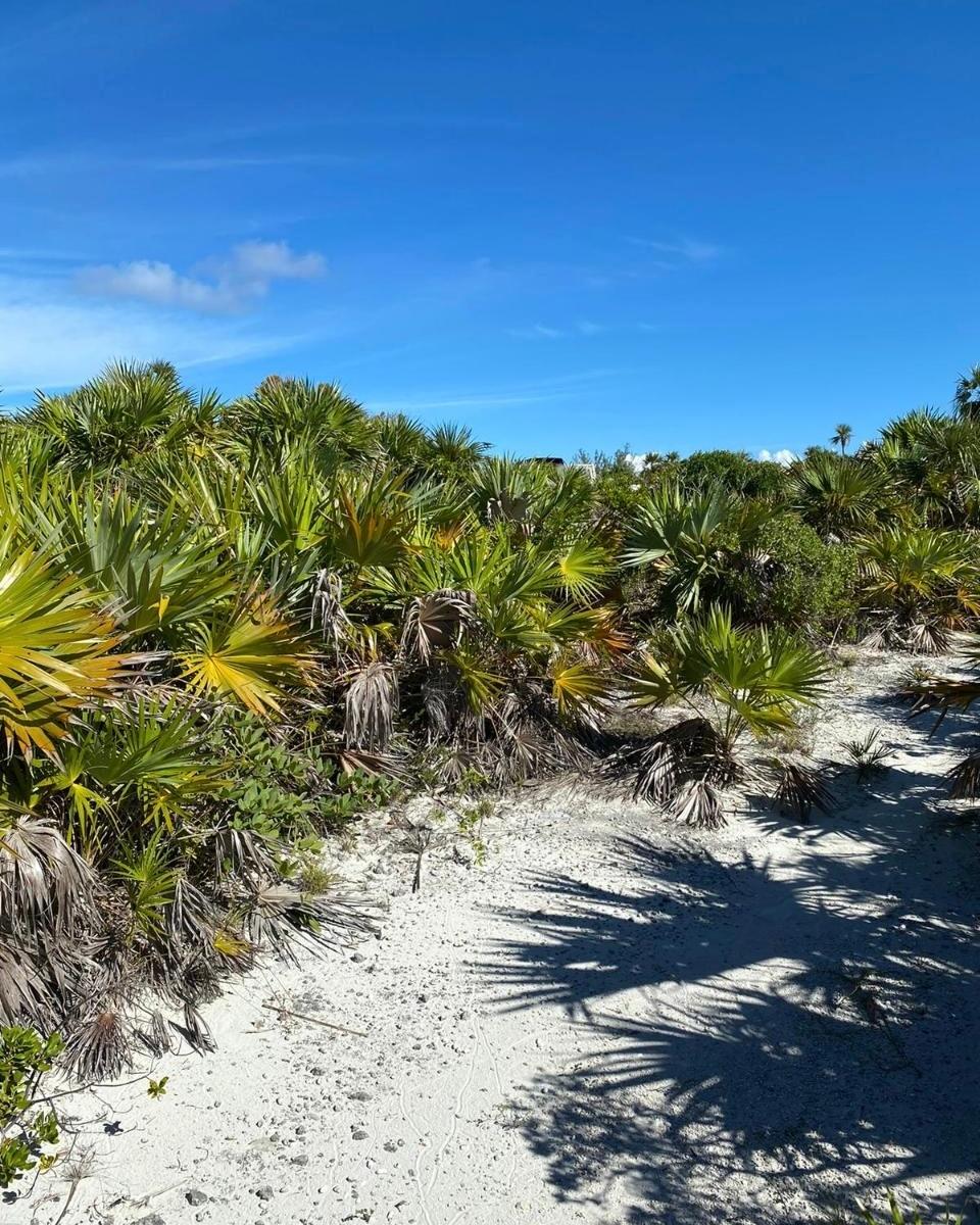LOT #26, NORMAN’S CAY
