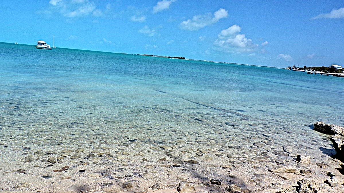 SALT POND WATERFRONT
