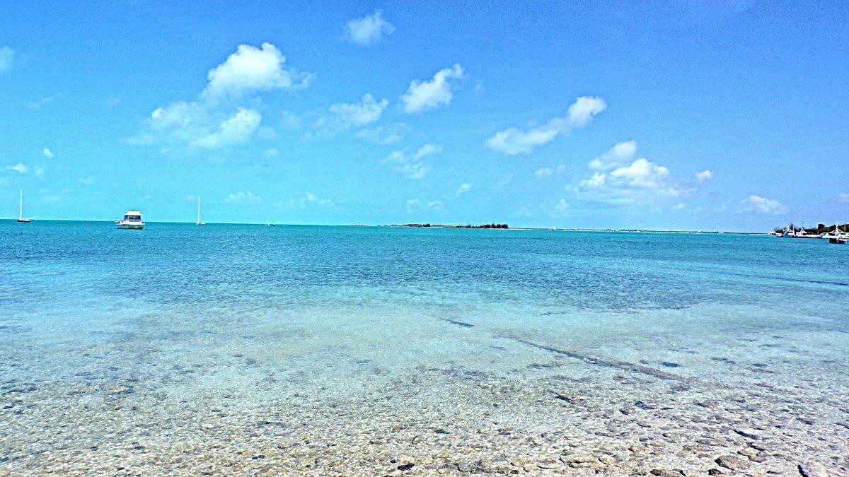 SALT POND WATERFRONT