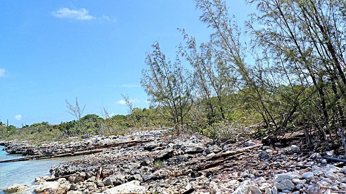 SALT POND WATERFRONT