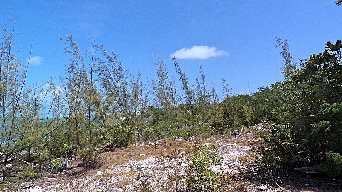 SALT POND WATERFRONT