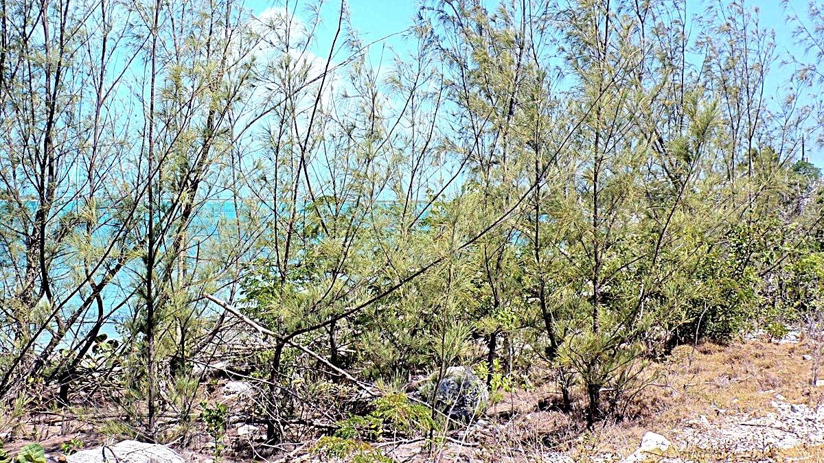 SALT POND WATERFRONT