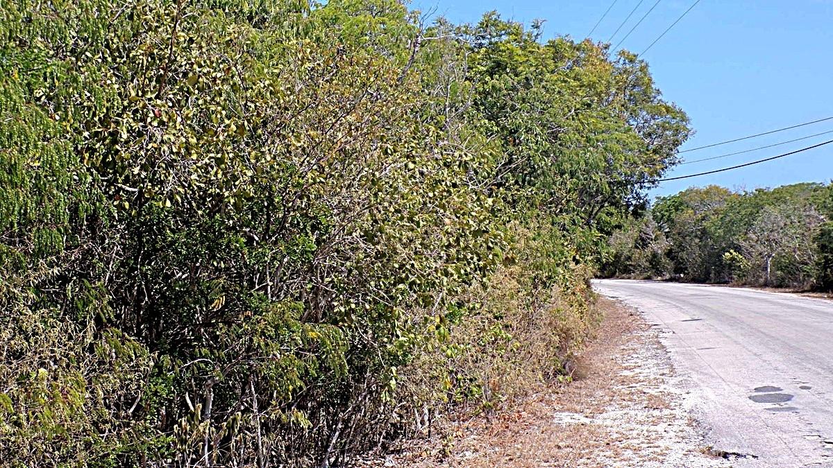 SALT POND WATERFRONT
