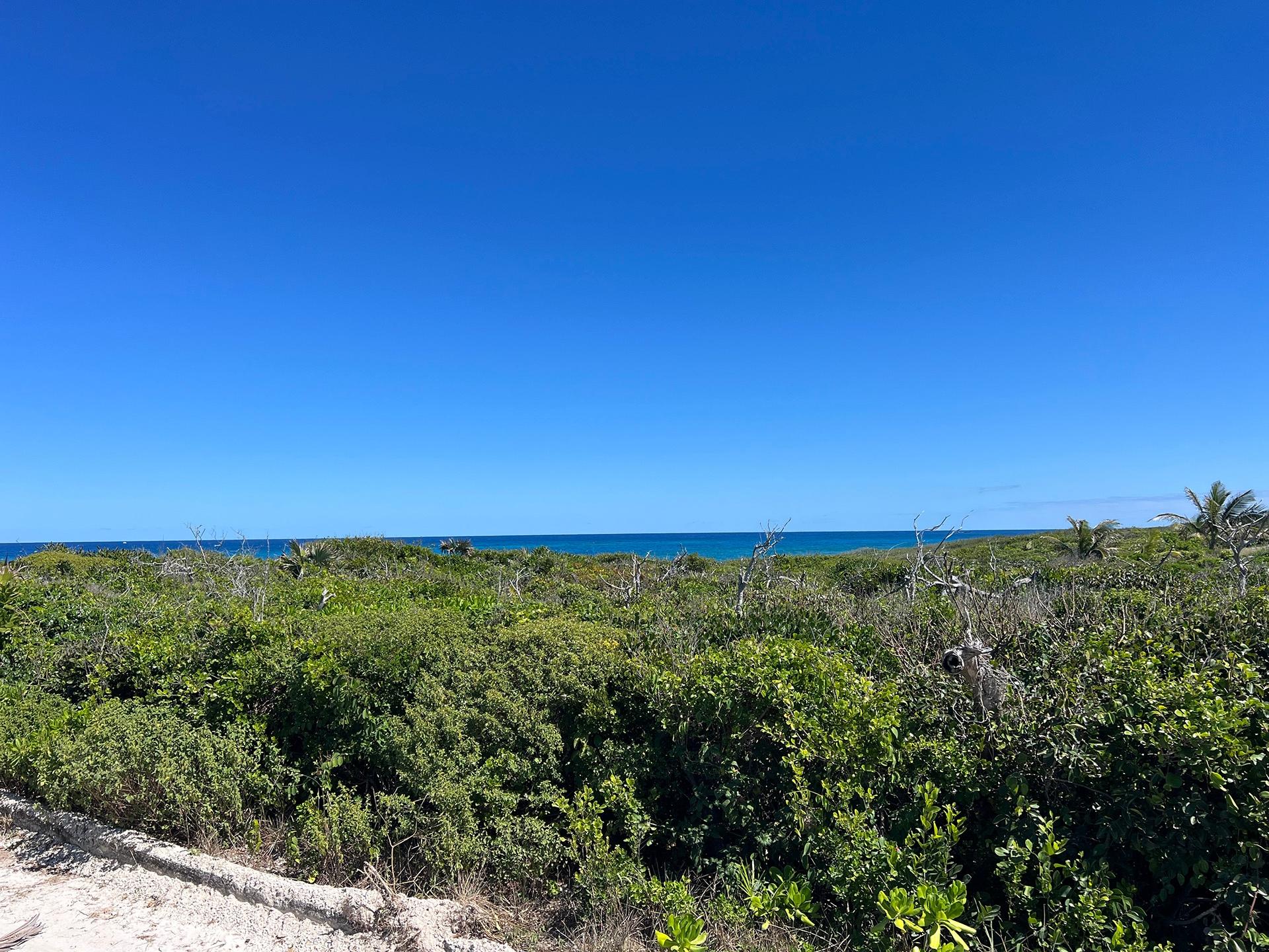 OCEAN RIDGE ESTATES LOT