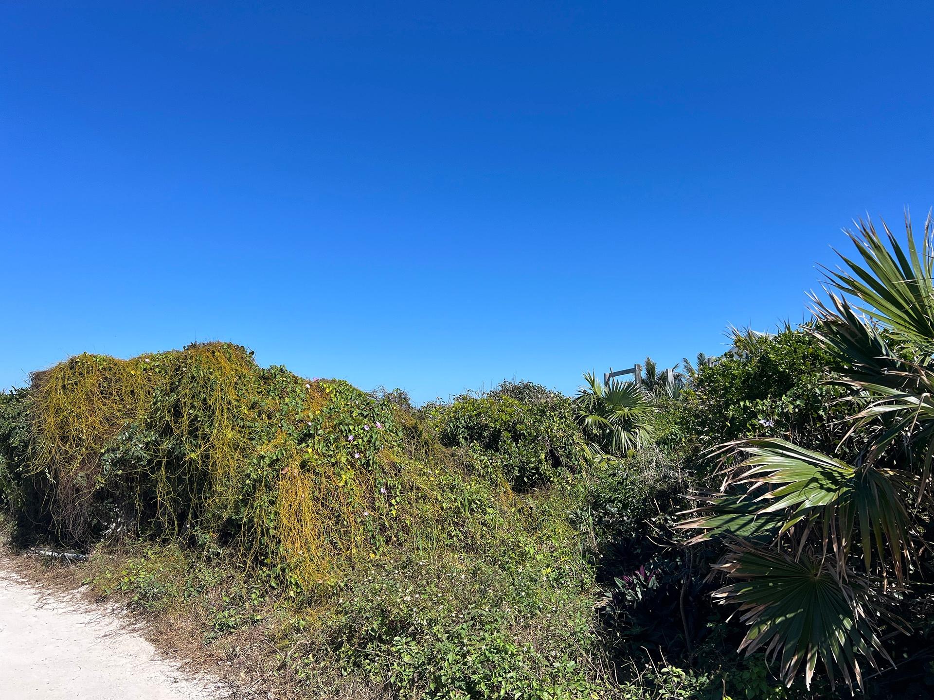 OCEAN RIDGE ESTATES LOT