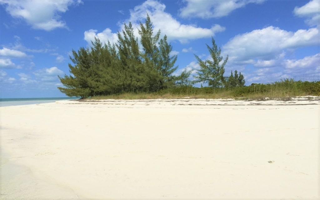 JOE’S CAY