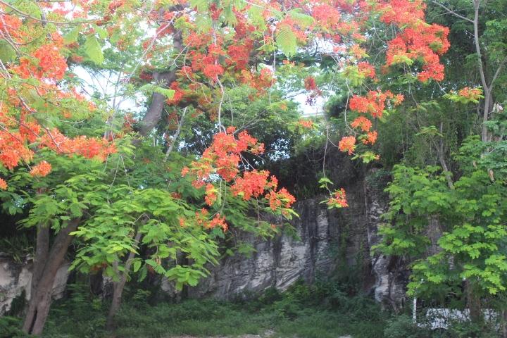 MINNS TOWN FORT FINCASTLE