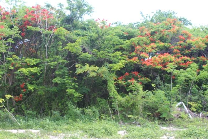 MINNS TOWN FORT FINCASTLE