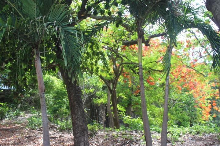 MINNS TOWN FORT FINCASTLE