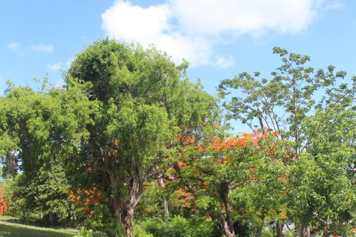 MINNS TOWN FORT FINCASTLE