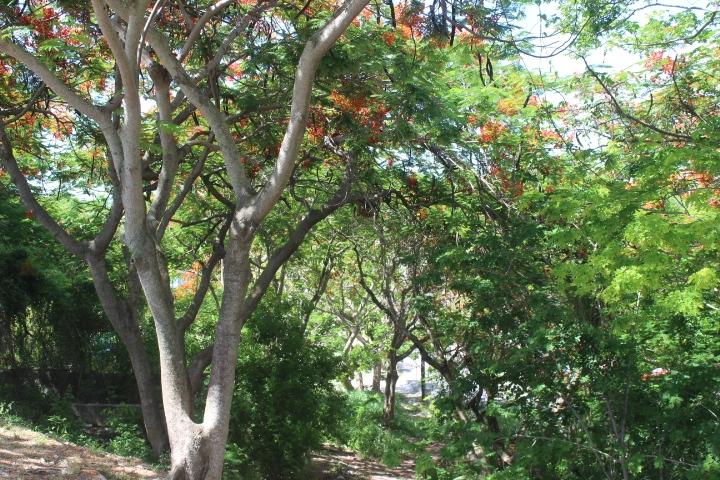 MINNS TOWN FORT FINCASTLE