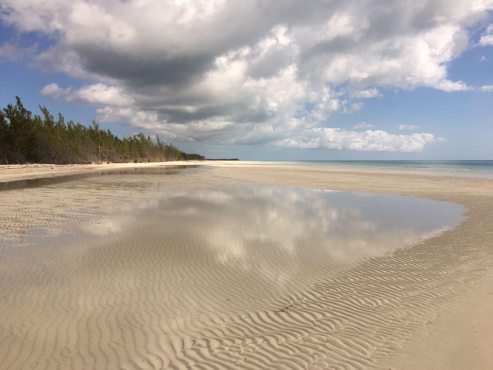 GRAND BAHAMA HIGHWAY