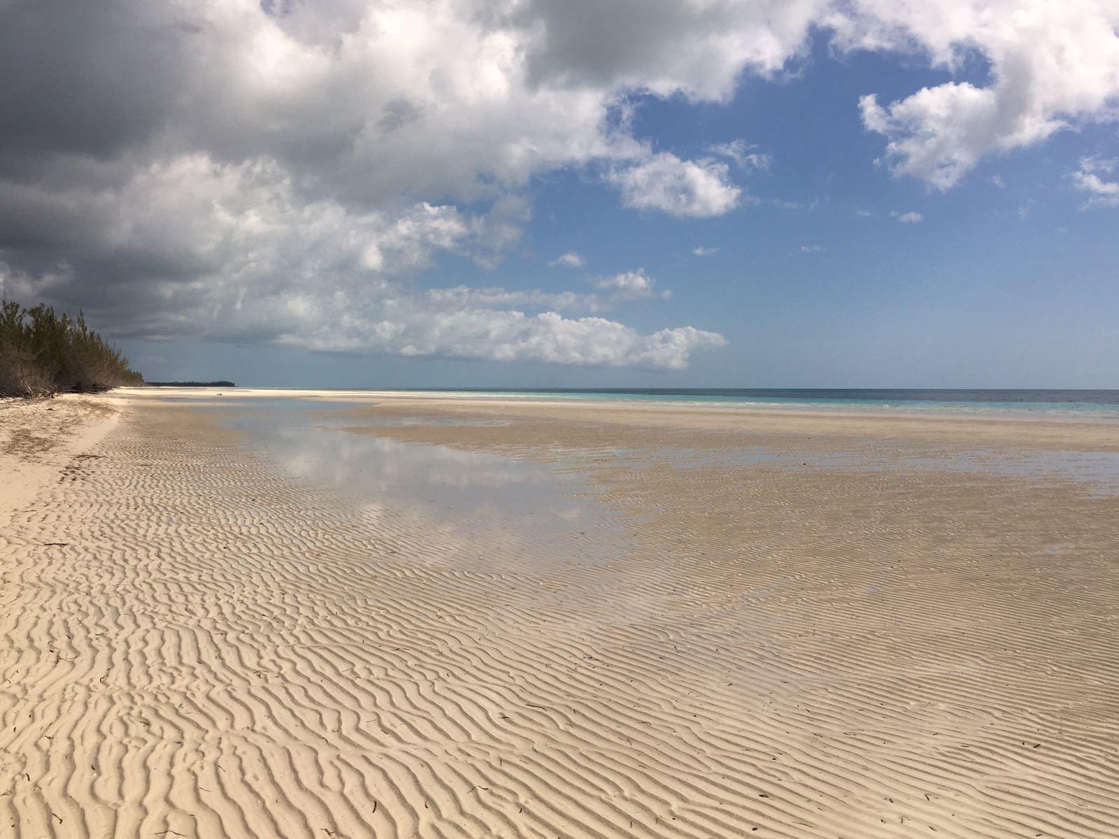 GRAND BAHAMA HIGHWAY